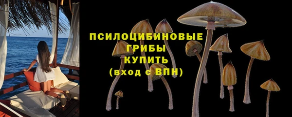 mix Верея