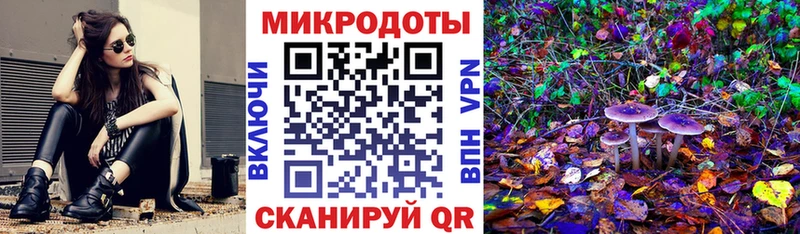 Псилоцибиновые грибы MAGIC MUSHROOMS  KRAKEN зеркало  Кисловодск 
